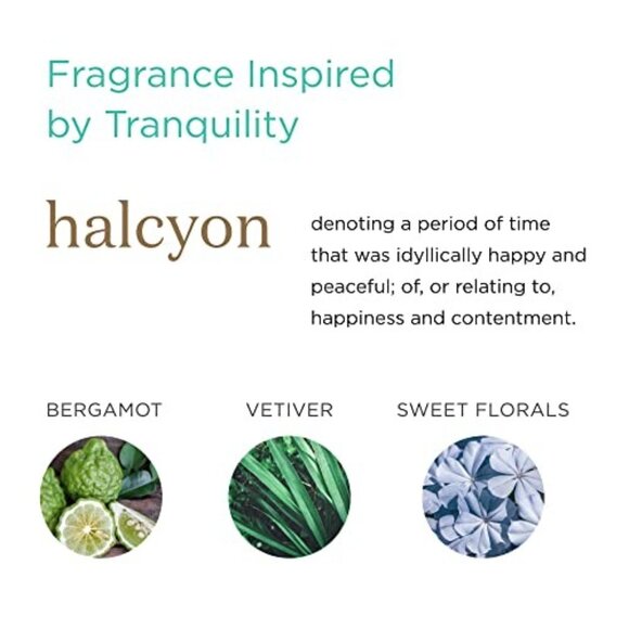 Earthly Body MKS Eco WOW Nurture Sulfate Free Shampoo and Body Wash 10 Oz - Picture 5 of 10